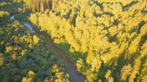 Закат, золотой час. Sunset, golden hour.