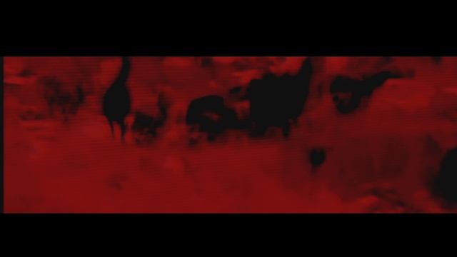 BLOODSPOT - Vielfrass (Official Video) _ Reaper Entertainment Europe