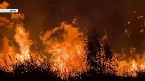 Лесные пожары на территории Серовского городского округа.