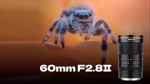 Brightinstar 60mm F2.8 II 2X Macro Бюджетный макрик х2 Z/E/M/X/RF/43