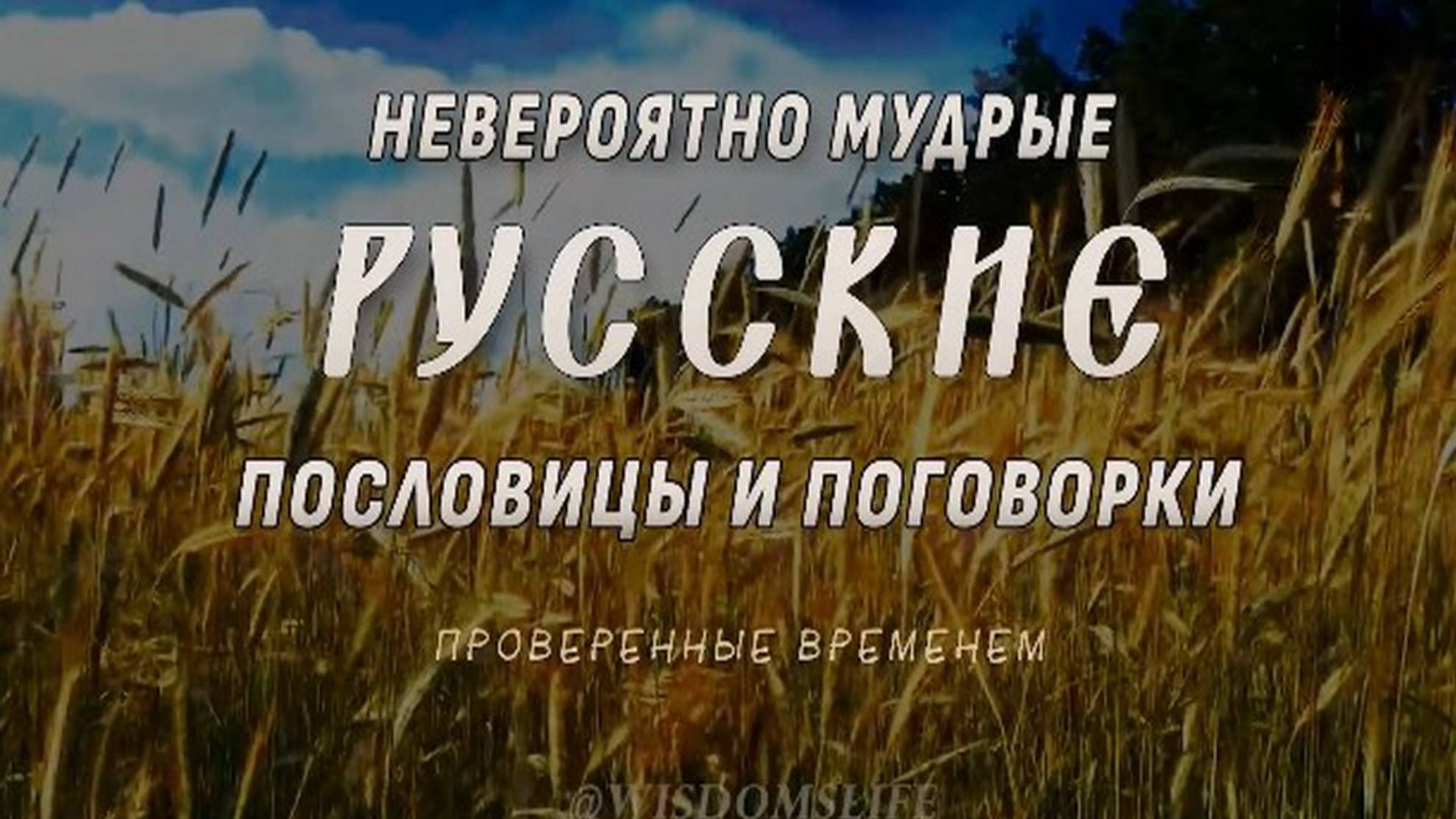 Невероятно мудрые русские пословицы и поговорки