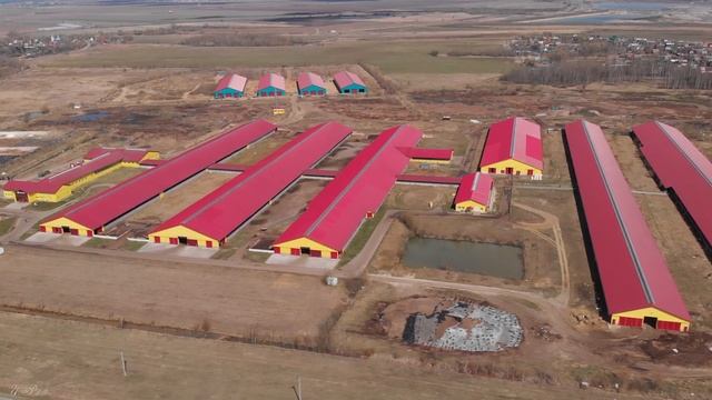 2020 04 РусМолоко смотреть онлайн