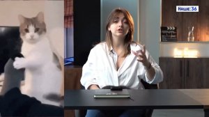 «Мемология» — все про мемы и молодежный сленг