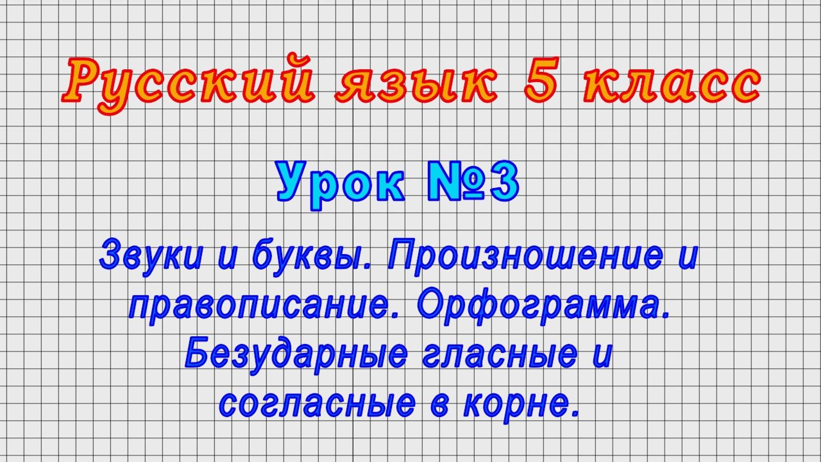 Русский язык 5 класс (Урок№3 - Звуки и буквы. Произношение и правописание. Орфограмма.)