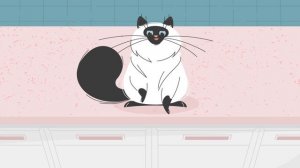 Paco & Pepper. Бренд-видео