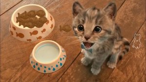 Little Kitten Adventures - Costume Dress-Up Party Gameplay