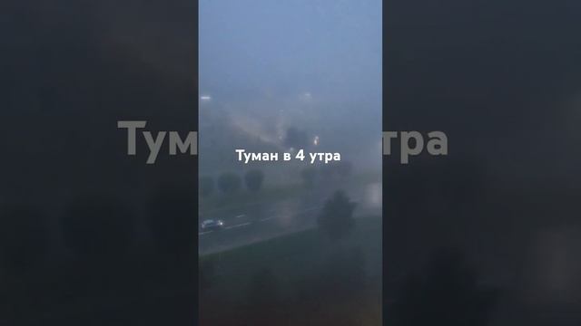 а что ты знаешь о тумане? #flowers #фоллаут3 #nature #beautiful смотреть онлайн