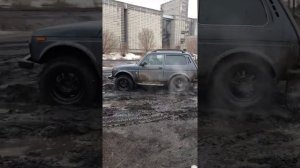 Нива Бронто против бездорожья