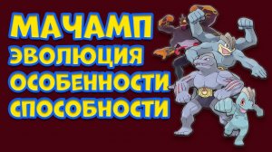 МАЧАМП. ЭВОЛЮЦИЯ, ОСОБЕННОСТИ, СПОСОБНОСТИ