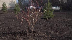 Благоустройство дворов в Новосибирске выполняется по наказам депутатам