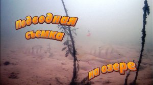 Подводная съемка на озере.