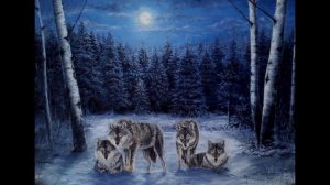 Мальчик думал его съедят,но это был тот самый Волк...