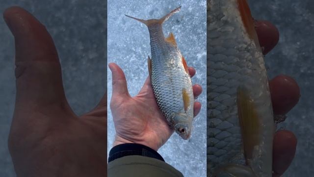 Комарицино смотреть онлайн