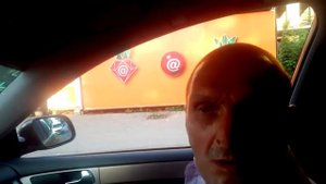 Мопс  Вафледрон