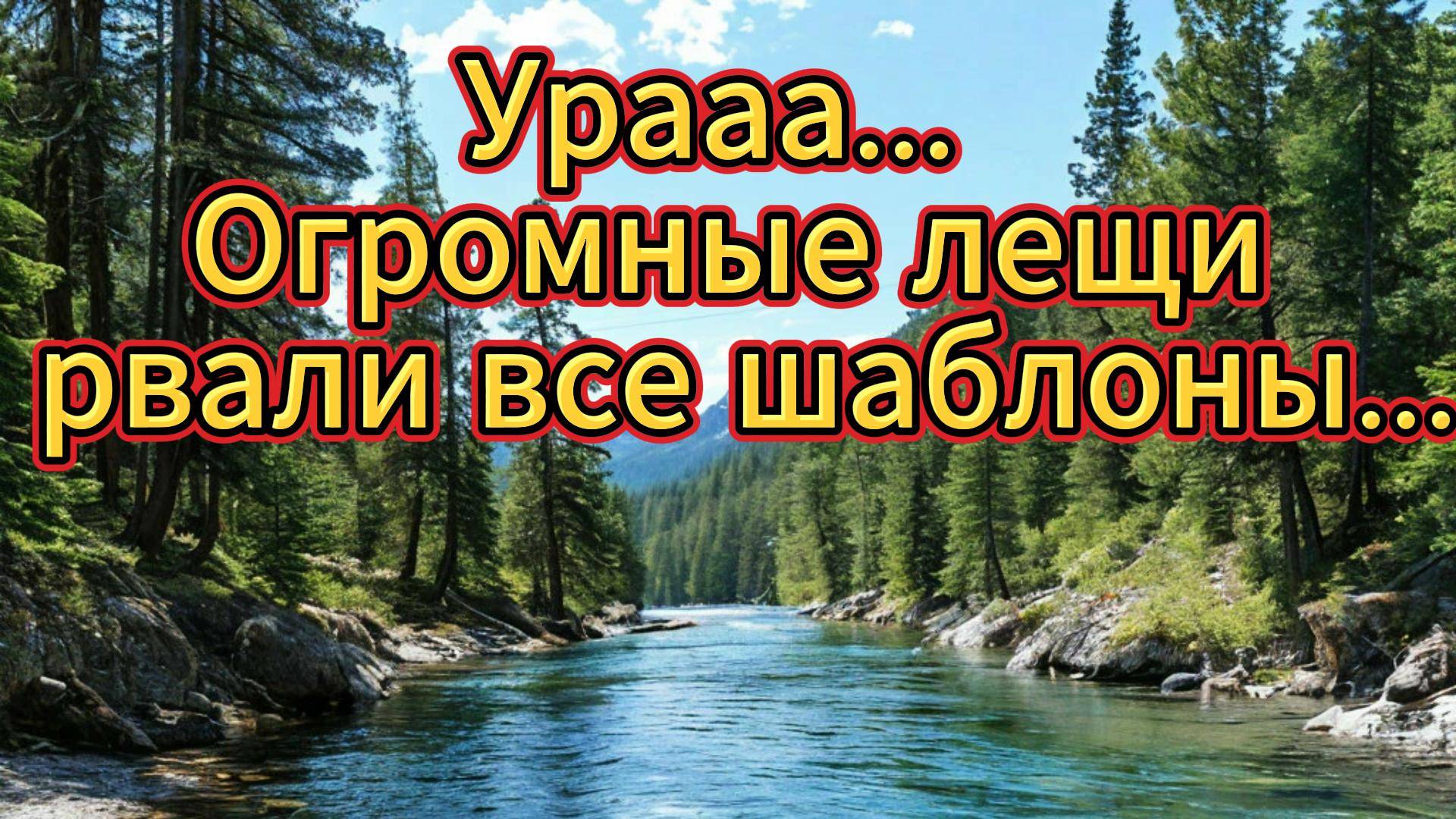 Ловля на фидер осеннего леща Падовка. Они рвали все шаблоны🤪