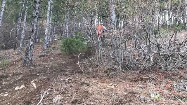 Ktm sx-f 250 puteka vlado trichkov смотреть онлайн