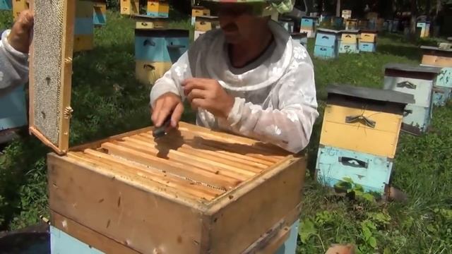 500+ Зачем к медосбору готовим медовики?