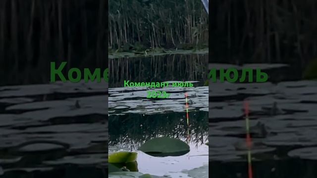 2 августа 2023 г. смотреть онлайн