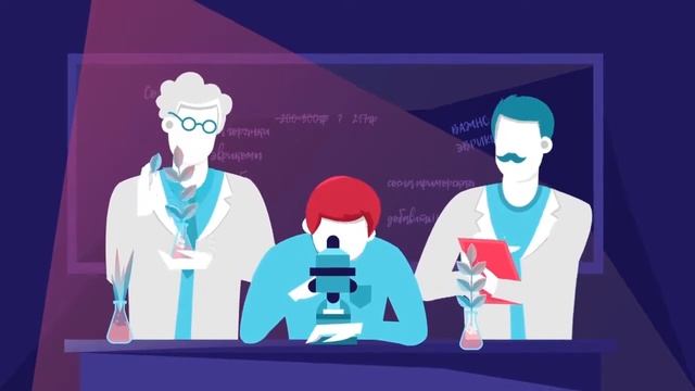 Сементал Видеореклама для сайта