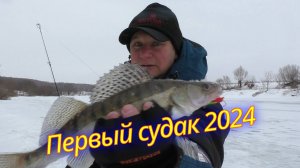 Первый судак на Оке.