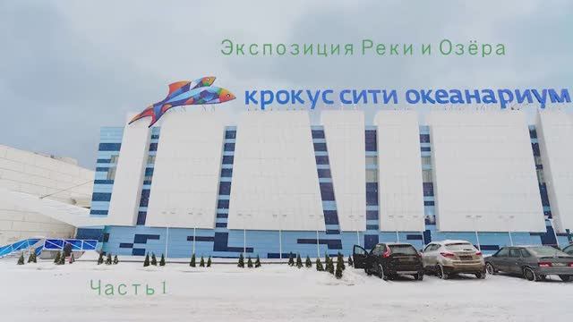 Океанариум Крокус Сити  5