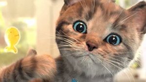 Little Kitten My Favorite Cat Pet Care - Play Fun Cute Kitten Care Games For Kids #456