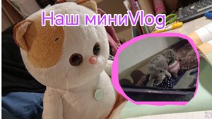 Наш вечерний влог