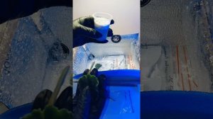 Сенполии🌺 получила листики, что делать дальше с ними. 🤔