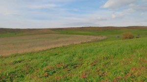 МЮ Лермонтов Осень