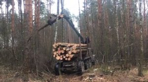 Вырубка леса под строительство в Московской области