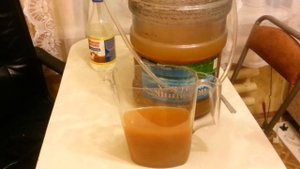 Абрикосовое вино