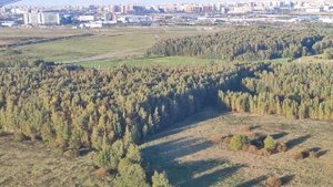 Посадка в аэропорту Пулково , Санкт-Петербург. Вид из иллюминатора. 22.09.2024.