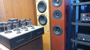 lungyim~Mark Levinson No.380S preamplifier-Audio Research VS55 Power Amp ( 4 )