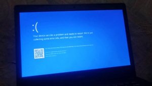 (REQUESTED) BFDI 26 FLOWER'S REVENGE MATCH STOP HAS A BSOD