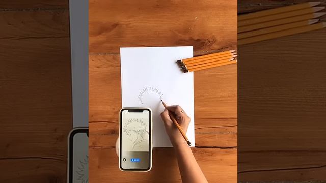 Ar Drawing app For Android & Iphone смотреть онлайн