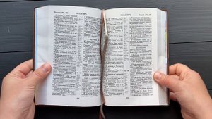 Библия каноническая (12х18,5см, гибкая обл., тёмно-коричневый, надпись "Библия")