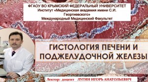 Лекция - Гистология Печени и Поджелудочной железы ( лектор доцент Лугин И.А.)