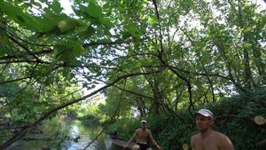 Зажало пилу