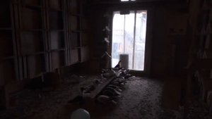 купцовские чёрноголовые голубята в гоночной