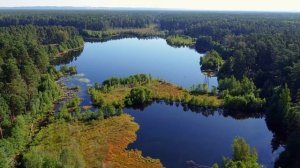 Святое Тумботинское озеро. Mavic Mini