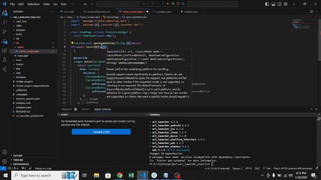 How To Use URL Launcher | Open URLs in Web Browser | In App WebView | Flutter Tutorial | Urdu/Hindi