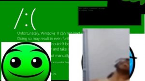 Windows 11 kill screen but normal and easy and furry normal wants to see it