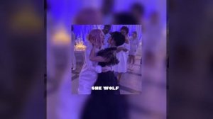 she wolf (sped up + pitched)