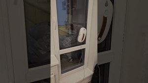 Робот мойщик окон Lydsto W03