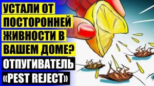 Ультразвуковые отпугиватели тараканов купить в ижевске ⚫