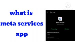 Meta Services app kya hai | What is Meta Services App in Android | Meta Services App meaning