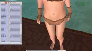 3DSexVilla2 - Shaky models in Throneroom