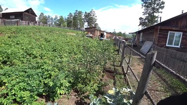 Сам себе перегонщик. Мои приключения по пути из Владивостока. Часть восьмая.