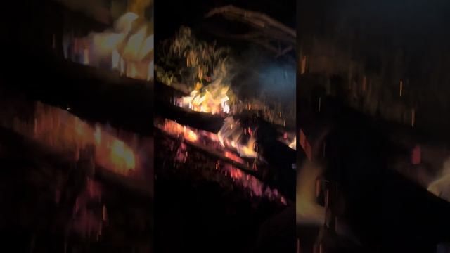 24 сентября 2024 г. смотреть онлайн