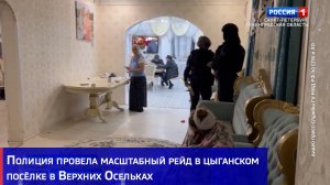 Полиция провела масштабный рейд в цыганском посёлке в Верхних Осельках